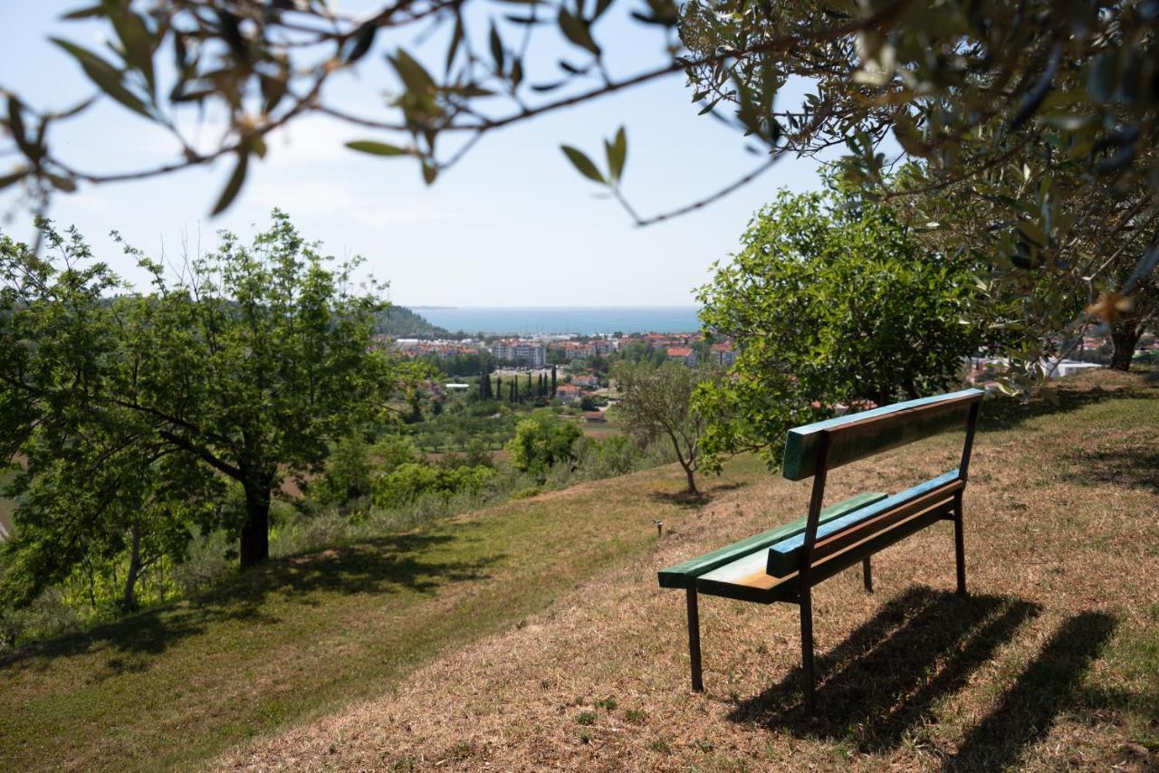Istrian Casa Ladonia By Locap Group Villa Portorož Buitenkant foto